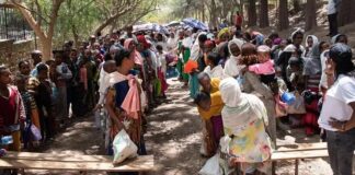Ethiopia Country Report