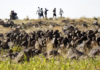 Saudi Arabia: Halt Imminent Executions of Ethiopian Migrants