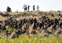 Saudi Arabia: Halt Imminent Executions of Ethiopian Migrants