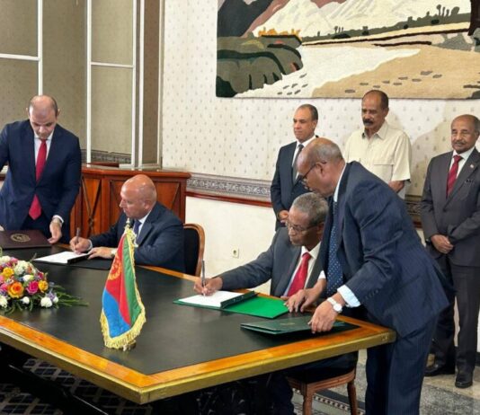 Egypt, Eritrea sign maritime transport pact, declare Red Sea security exclusive to littoral states
