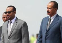 Ethiopia-Eritrea Relations: A Framework for Sustainable Peace in the Horn of Africa