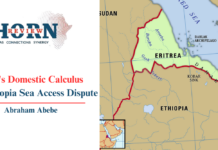Eritrea’s Domestic Calculus in the Ethiopia Sea Access Dispute