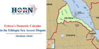 Eritrea’s Domestic Calculus in the Ethiopia Sea Access Dispute