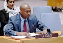 From Competition to Integration: Reengineering Sudan’s Peace Efforts